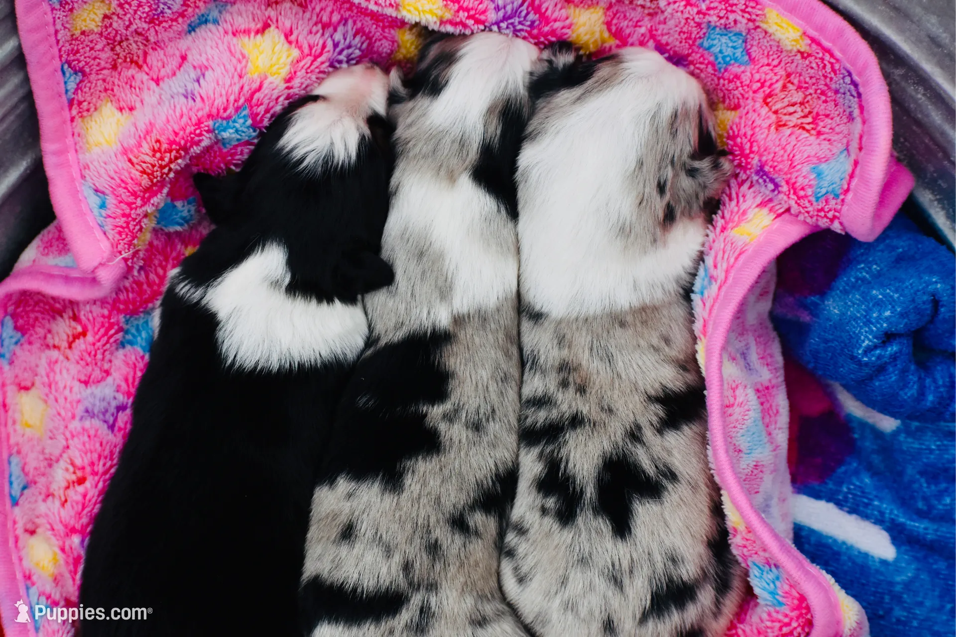 processed/3da7f3b4-105d-45b9-9aa3-60e3708c7562/listing/005137ef-b8c1-4fbf-9b48-f46d78e78431/6b5ee3ce-6233-4535-8180-44702264e95e