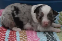 processed/3da7f3b4-105d-45b9-9aa3-60e3708c7562/listing/005137ef-b8c1-4fbf-9b48-f46d78e78431/b90cbacc-c3b6-48e5-8d53-de7ee6278768