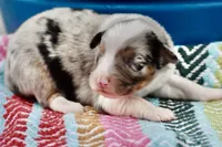 processed/3da7f3b4-105d-45b9-9aa3-60e3708c7562/listing/005137ef-b8c1-4fbf-9b48-f46d78e78431/d58352f3-138b-42cb-902c-33b05b6c0e34