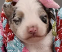 processed/3da7f3b4-105d-45b9-9aa3-60e3708c7562/listing/139e6617-431e-45d9-8bf2-468655ac30c2/461b9a70-8300-4629-9937-838f57f40588