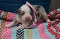 processed/3da7f3b4-105d-45b9-9aa3-60e3708c7562/listing/139e6617-431e-45d9-8bf2-468655ac30c2/904132fb-c107-4221-ad9b-b07ea179aa5f