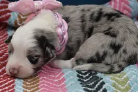 processed/3da7f3b4-105d-45b9-9aa3-60e3708c7562/listing/139e6617-431e-45d9-8bf2-468655ac30c2/bf5edba1-3ec6-47f0-af39-66e70b32d2f5