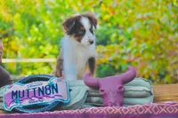 processed/3da7f3b4-105d-45b9-9aa3-60e3708c7562/listing/4ad26f69-8b88-4b3e-92f0-d51a053a81a3/1f28f45f-2815-4835-acd3-bc1e4d3bfe46