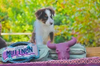 processed/3da7f3b4-105d-45b9-9aa3-60e3708c7562/listing/4ad26f69-8b88-4b3e-92f0-d51a053a81a3/4040904e-3d0a-4370-97db-93f22a506971