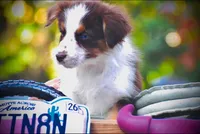 processed/3da7f3b4-105d-45b9-9aa3-60e3708c7562/listing/4ad26f69-8b88-4b3e-92f0-d51a053a81a3/ecb6b141-5987-4c69-a52a-63179c7efa2a