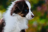 processed/3da7f3b4-105d-45b9-9aa3-60e3708c7562/listing/4ad26f69-8b88-4b3e-92f0-d51a053a81a3/f9f9fee3-96da-4708-aad2-438d4a810f91