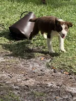 processed/3da7f3b4-105d-45b9-9aa3-60e3708c7562/listing/810044b0-e519-4b06-b715-632276fdf066/1950d00d-78b0-4aac-952e-e665dfe38d7c