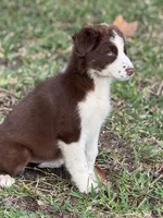 processed/3da7f3b4-105d-45b9-9aa3-60e3708c7562/listing/810044b0-e519-4b06-b715-632276fdf066/391d3583-3ce8-4d00-9c1b-11aee3d0b7a9