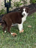 processed/3da7f3b4-105d-45b9-9aa3-60e3708c7562/listing/810044b0-e519-4b06-b715-632276fdf066/6d367291-2dc3-4cbd-bbc4-5374c1d78bf9