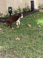 processed/3da7f3b4-105d-45b9-9aa3-60e3708c7562/listing/810044b0-e519-4b06-b715-632276fdf066/ee43dfbc-66db-457f-b2ff-a592adf62ab8