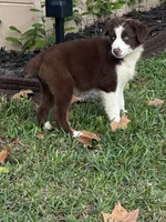 processed/3da7f3b4-105d-45b9-9aa3-60e3708c7562/listing/810044b0-e519-4b06-b715-632276fdf066/f0520764-a17f-420c-a17b-e234e390634d