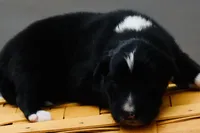 processed/3da7f3b4-105d-45b9-9aa3-60e3708c7562/listing/9545e301-fe16-4b8b-aecb-f10919401713/5551e0d0-e6f7-4e93-89a4-8f59e786d133