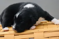 processed/3da7f3b4-105d-45b9-9aa3-60e3708c7562/listing/9545e301-fe16-4b8b-aecb-f10919401713/937a04b5-9c6c-4b7b-a350-cfd5481d1695