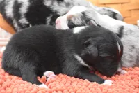 processed/3da7f3b4-105d-45b9-9aa3-60e3708c7562/listing/9545e301-fe16-4b8b-aecb-f10919401713/9aa9a9f9-1990-49a5-849b-c9614fe6c657