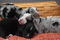 processed/3da7f3b4-105d-45b9-9aa3-60e3708c7562/listing/9545e301-fe16-4b8b-aecb-f10919401713/f270f970-1563-49ab-ac67-f843ec010f02