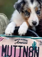 processed/3da7f3b4-105d-45b9-9aa3-60e3708c7562/listing/e3b787db-10eb-4c65-8337-30796113d35d/6f886f76-1f87-4fbd-801f-03871c89e22a