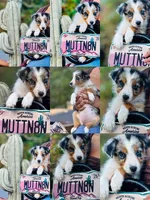 processed/3da7f3b4-105d-45b9-9aa3-60e3708c7562/listing/e3b787db-10eb-4c65-8337-30796113d35d/8c63208e-d2c3-4b61-b5a4-864042636e65