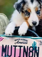 processed/3da7f3b4-105d-45b9-9aa3-60e3708c7562/listing/e3b787db-10eb-4c65-8337-30796113d35d/9a3f2b66-9493-4af8-a600-90af5d6345cf