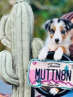 processed/3da7f3b4-105d-45b9-9aa3-60e3708c7562/listing/e3b787db-10eb-4c65-8337-30796113d35d/a613dbbd-0464-4442-8b7b-e4c680d4394c