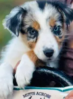 processed/3da7f3b4-105d-45b9-9aa3-60e3708c7562/listing/e3b787db-10eb-4c65-8337-30796113d35d/c285f687-faf9-4620-8e21-416ebf5bb8d2