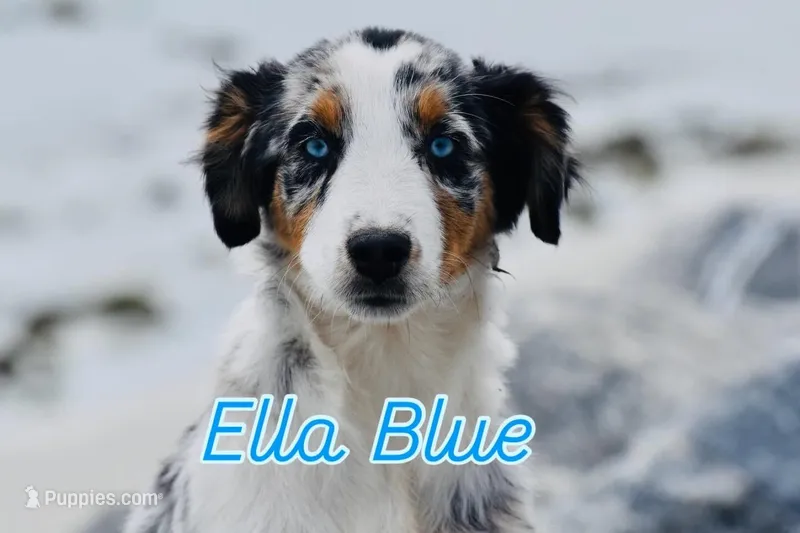 Ella Skye Blue