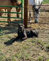 processed/3dac85e8-9ef2-4f12-9d83-4df39c5099ed/facility/0e41dc0e-0111-40d6-b99e-6d4f8ac2a63a