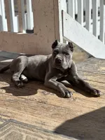 processed/3dac85e8-9ef2-4f12-9d83-4df39c5099ed/facility/5ba0c927-40e0-446e-af0c-7dcc2232dbcd