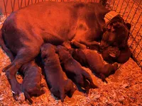 processed/3dac85e8-9ef2-4f12-9d83-4df39c5099ed/facility/801a3386-ed49-4cf5-a1c9-8edae037e09d