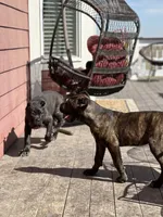 processed/3dac85e8-9ef2-4f12-9d83-4df39c5099ed/facility/8072d63a-6898-4439-a4bf-0491e51da5ac