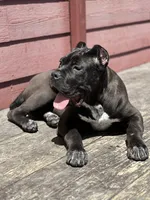 processed/3dac85e8-9ef2-4f12-9d83-4df39c5099ed/facility/93df7333-0ef7-4b34-9b9d-9a2f900b9e0e