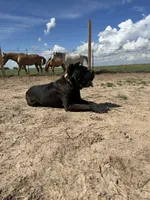 processed/3dac85e8-9ef2-4f12-9d83-4df39c5099ed/facility/b74dd682-0bd2-4564-8202-920f72e65f06