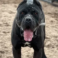 processed/3dac85e8-9ef2-4f12-9d83-4df39c5099ed/facility/e4f0139e-b311-4046-b0e4-a4cd25868727