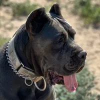 processed/3dac85e8-9ef2-4f12-9d83-4df39c5099ed/listing/9c963b0e-2cc1-4faa-b3da-580f5c545d3d/9604c29d-7cf7-45ed-bc31-907404e719be