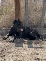 processed/3dac85e8-9ef2-4f12-9d83-4df39c5099ed/listing/9c963b0e-2cc1-4faa-b3da-580f5c545d3d/c44ca2ba-26de-4d9b-9a66-987e7433c6cd