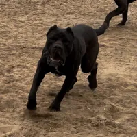 processed/3dac85e8-9ef2-4f12-9d83-4df39c5099ed/listing/a84b13e4-bce0-481e-9511-bcb45233fb21/3a16e5f3-e1b0-482c-9fcd-653bfdeb7143