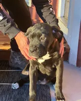 processed/3dac85e8-9ef2-4f12-9d83-4df39c5099ed/listing/a84b13e4-bce0-481e-9511-bcb45233fb21/d103fb84-231b-4740-9654-04f304712992