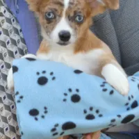 processed/3dc4dbab-f958-47ad-859d-89823d47cf65/facility/53f53dee-9fd5-4baa-b403-d3f03324434c