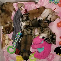 processed/3dc4dbab-f958-47ad-859d-89823d47cf65/facility/74af6702-494d-4827-b8f6-097d083efca7