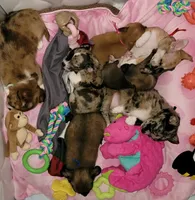 processed/3dc4dbab-f958-47ad-859d-89823d47cf65/facility/74af6702-494d-4827-b8f6-097d083efca7