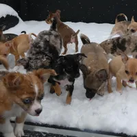 processed/3dc4dbab-f958-47ad-859d-89823d47cf65/facility/bf51519a-d1bc-4414-aaeb-49ff586f9593