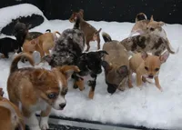 processed/3dc4dbab-f958-47ad-859d-89823d47cf65/facility/bf51519a-d1bc-4414-aaeb-49ff586f9593