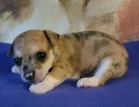 processed/3dc4dbab-f958-47ad-859d-89823d47cf65/listing/18ac1fed-a771-47cd-89e4-e28b1dda6bb2/0a588572-0ad3-4ffe-93b6-9a07478e4e7e