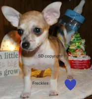 processed/3dc4dbab-f958-47ad-859d-89823d47cf65/listing/18ac1fed-a771-47cd-89e4-e28b1dda6bb2/192dde15-fad1-446f-a758-3de7284261b0