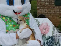 processed/3dc4dbab-f958-47ad-859d-89823d47cf65/listing/18ac1fed-a771-47cd-89e4-e28b1dda6bb2/433603a4-1f97-4425-a686-8bb40f33519c