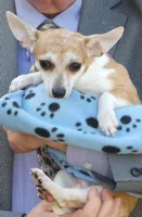 processed/3dc4dbab-f958-47ad-859d-89823d47cf65/listing/18ac1fed-a771-47cd-89e4-e28b1dda6bb2/65582fe7-5ac6-4ebe-a69e-df4299aaf458