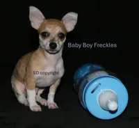 processed/3dc4dbab-f958-47ad-859d-89823d47cf65/listing/18ac1fed-a771-47cd-89e4-e28b1dda6bb2/71533bcc-56d7-4e0a-b982-284e55928966