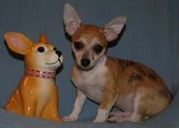 processed/3dc4dbab-f958-47ad-859d-89823d47cf65/listing/18ac1fed-a771-47cd-89e4-e28b1dda6bb2/8b35f7d5-6532-482d-a0f2-ef934b1a50af