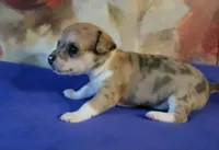 processed/3dc4dbab-f958-47ad-859d-89823d47cf65/listing/18ac1fed-a771-47cd-89e4-e28b1dda6bb2/8b4e4d61-55cb-48a8-907a-bf103686224b