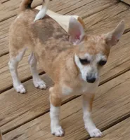 processed/3dc4dbab-f958-47ad-859d-89823d47cf65/listing/18ac1fed-a771-47cd-89e4-e28b1dda6bb2/bde81fbe-f61e-4cf9-91d7-9c364279bb27