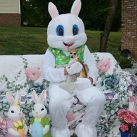 Freckles, a male Chihuahua for sale in Nashville, TN – Photo 3 of 10